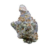 Mimosa Gusher
